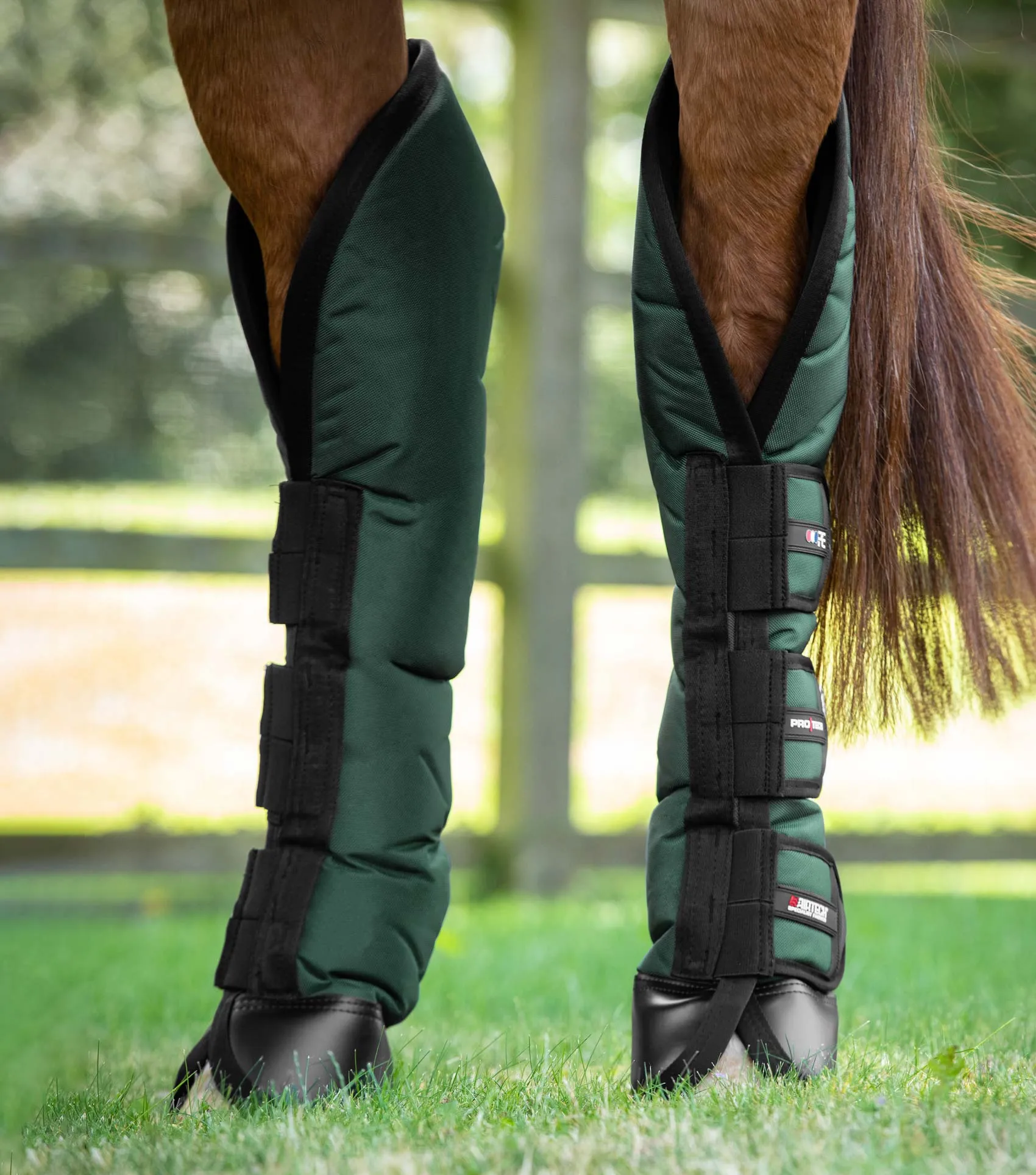 Ballistic Knee Pro-Tech Horse Travel Boots Green