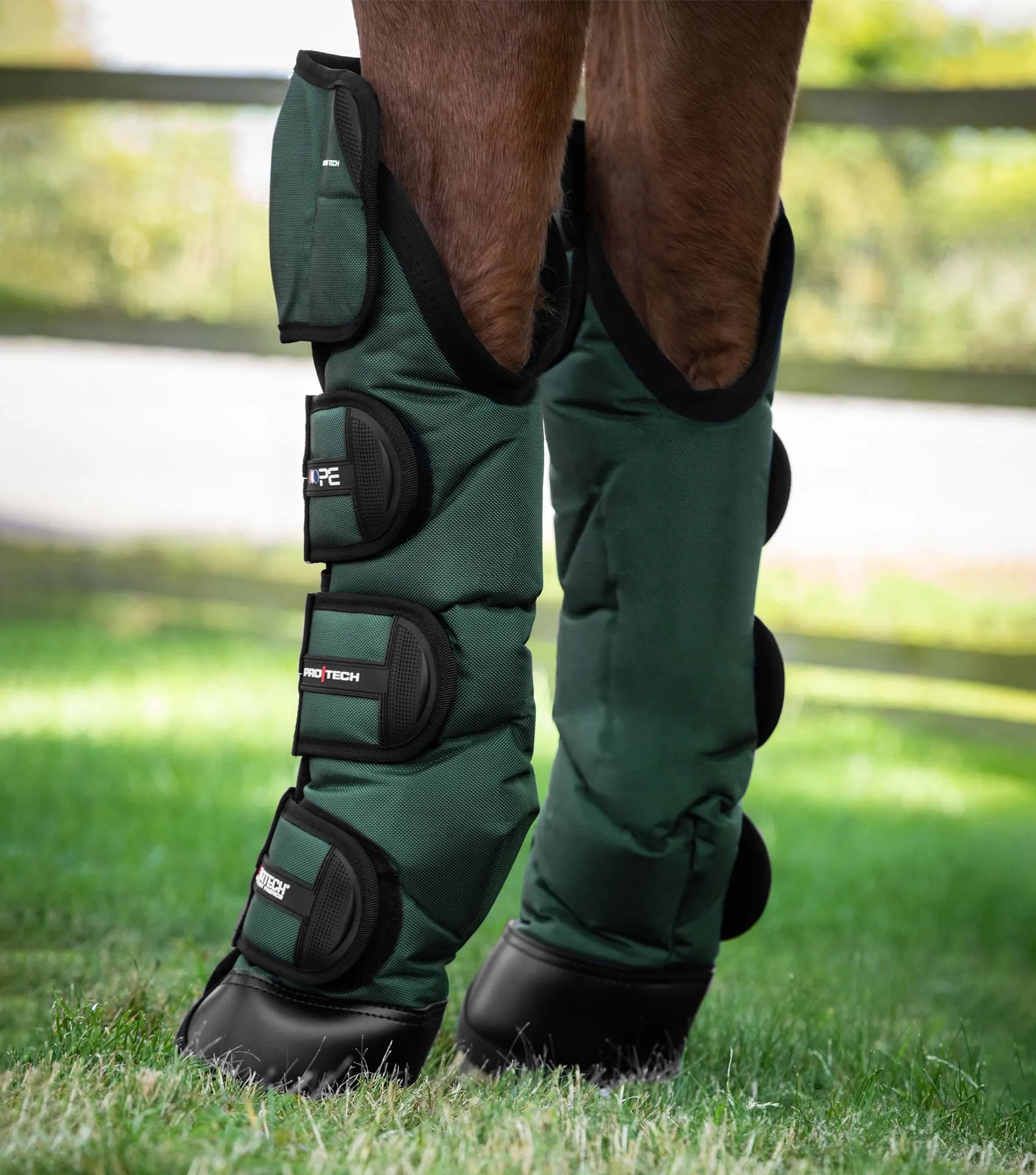 Ballistic Knee Pro-Tech Horse Travel Boots Green