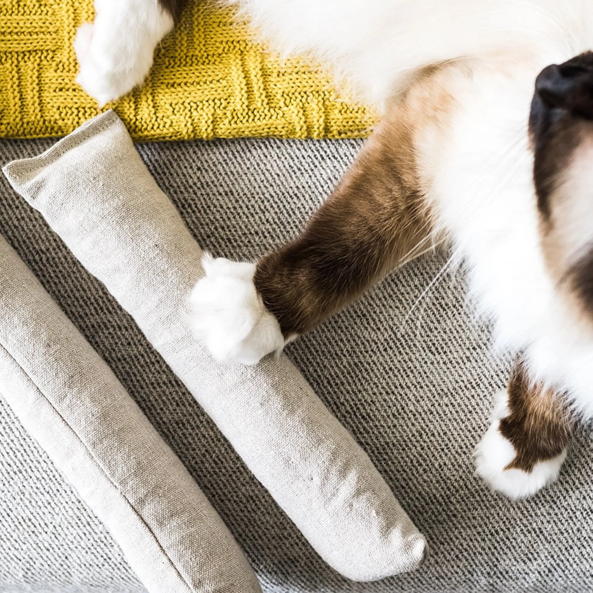 Cat Kicker Toy for Bunny Kicks