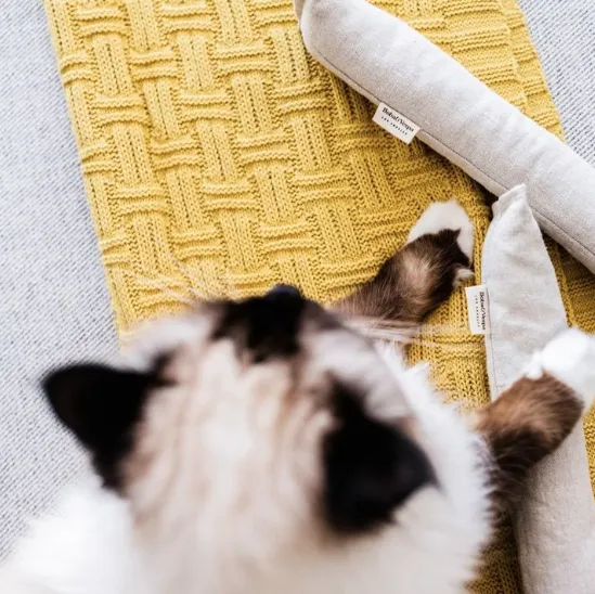 Cat Kicker Toy for Bunny Kicks