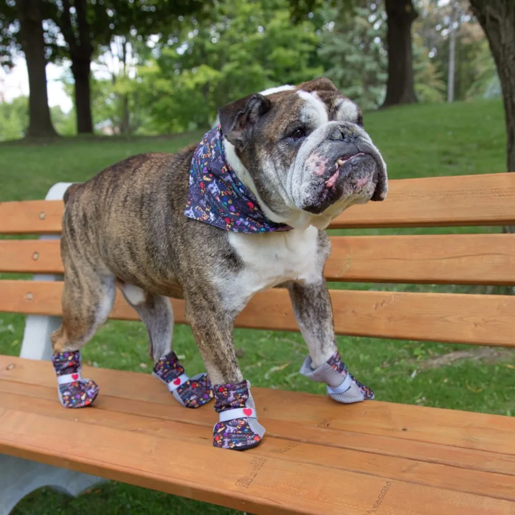 Chalkboard City Wear Dog Bandana