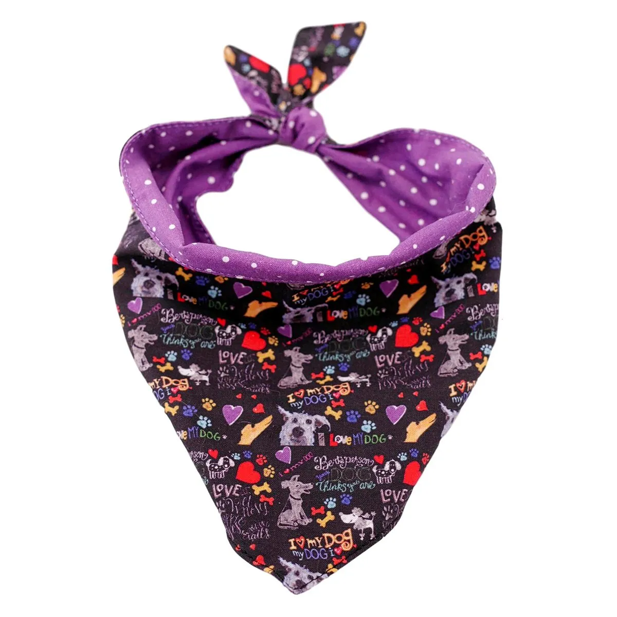 Chalkboard City Wear Dog Bandana