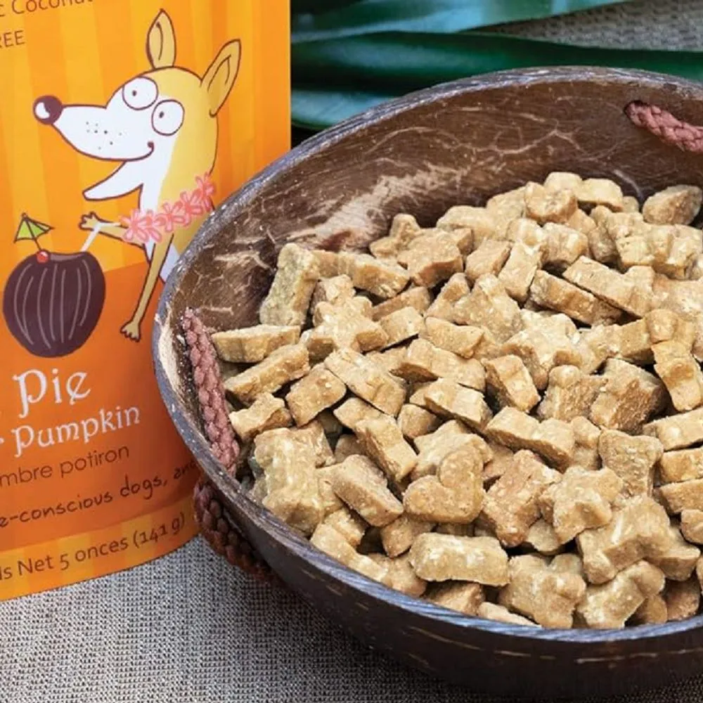 Coco-Charms Organic Training Dog Treats - Pumpkin Pie