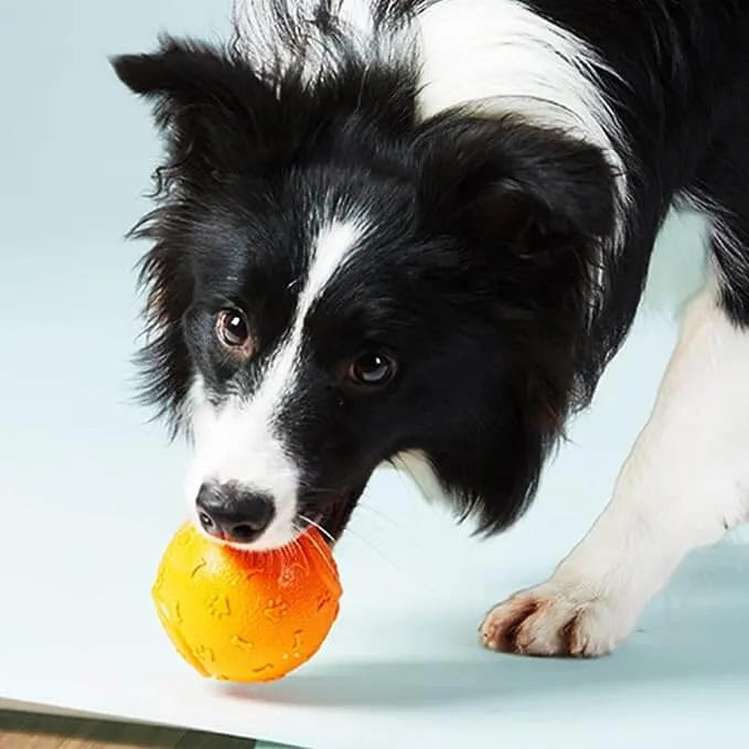 Dog Chew Toy Footprint Bone Design Sound Training Ball