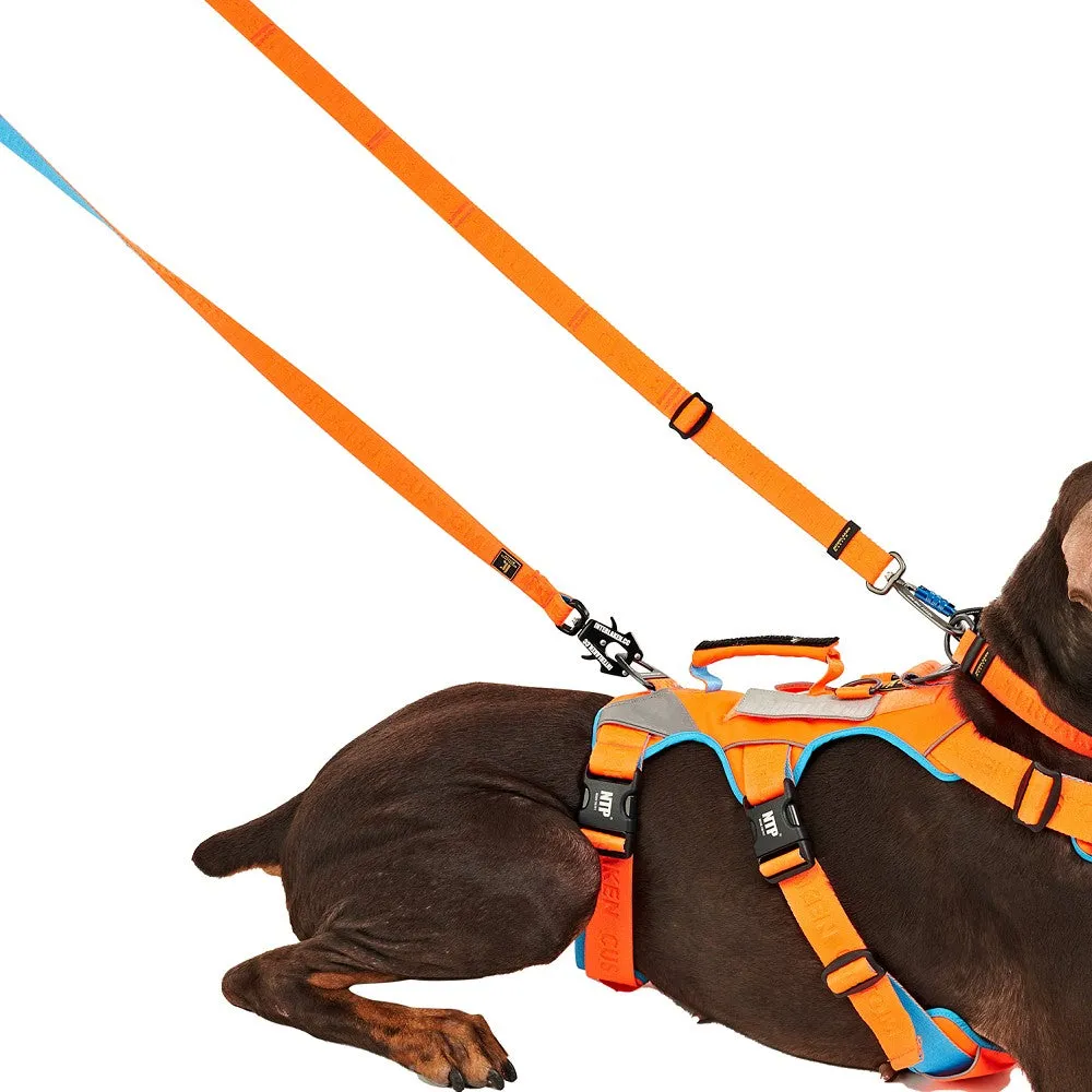 Earthtec I Leash Dog Leash