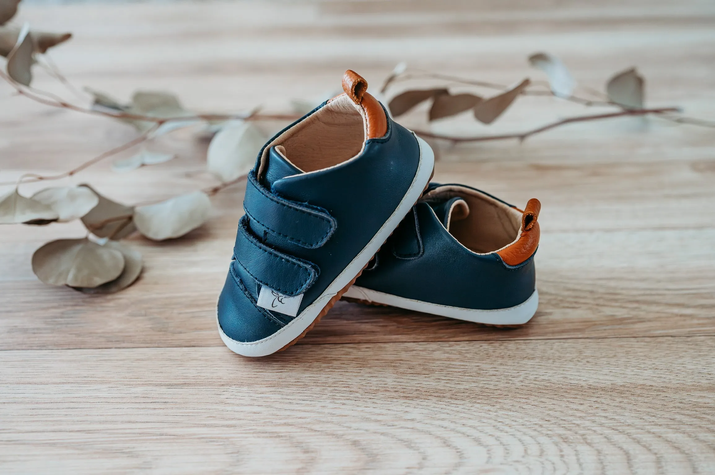 Little Love Bug Casual Navy Low Top