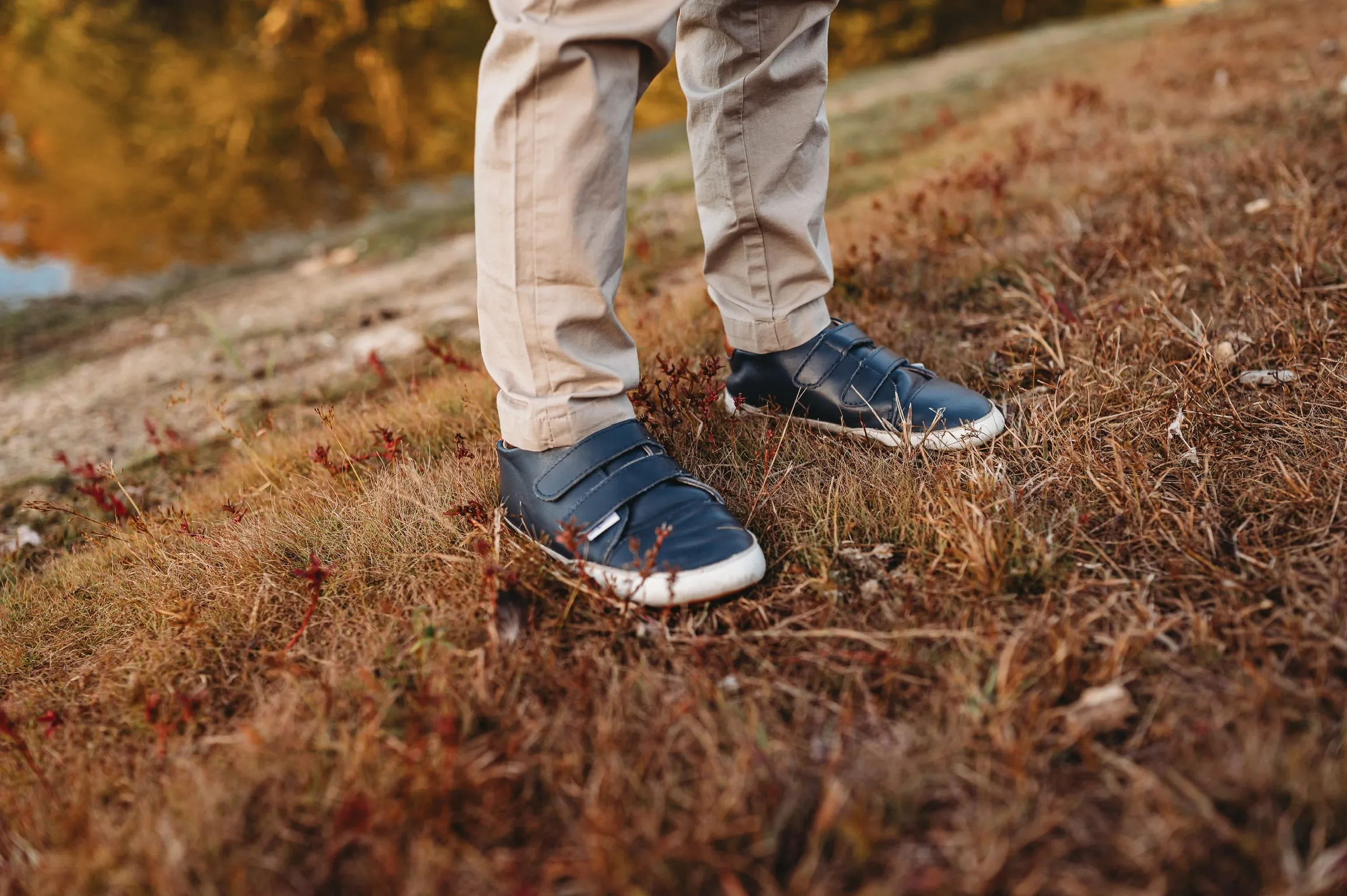 Little Love Bug Casual Navy Low Top