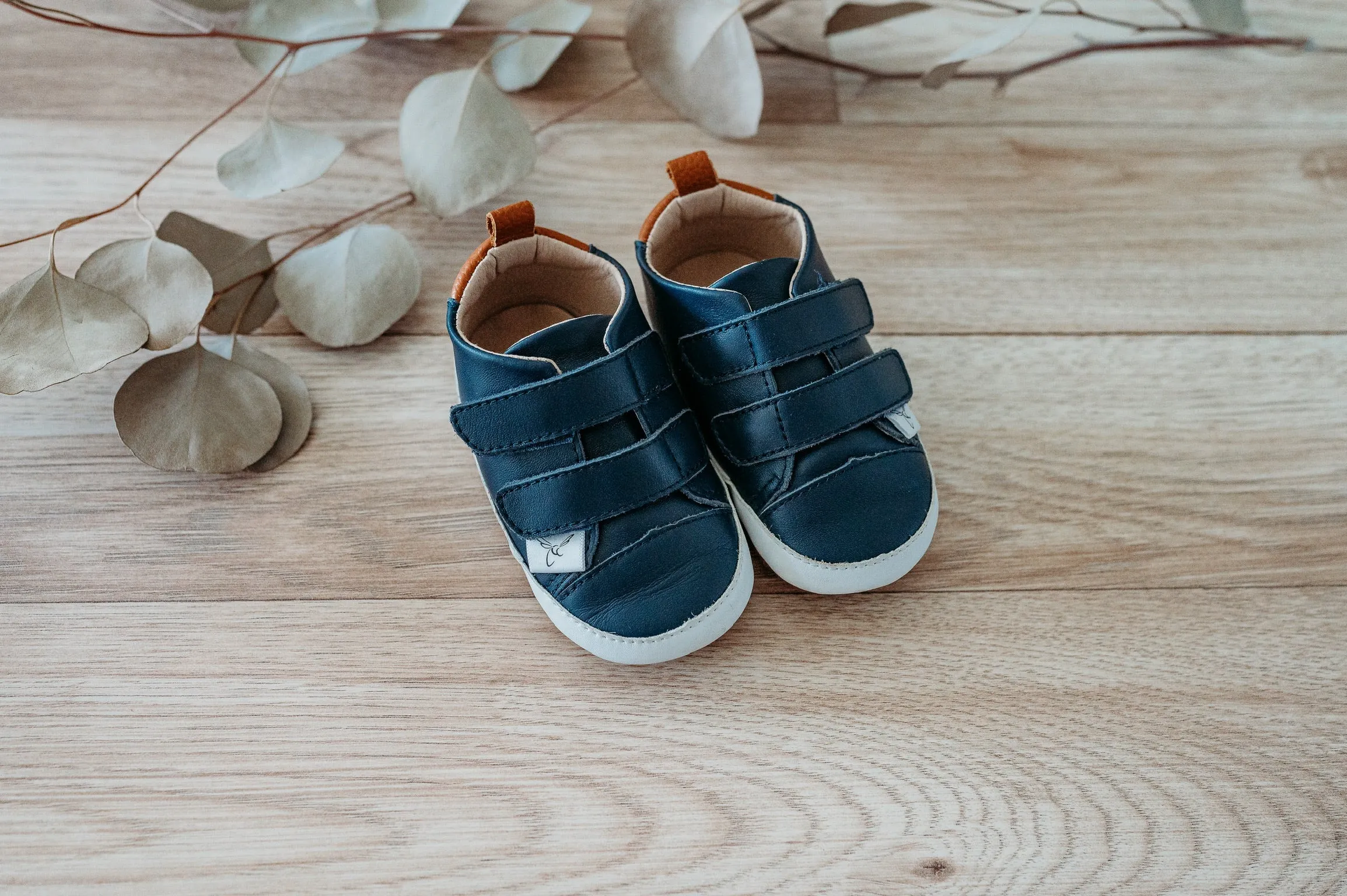 Little Love Bug Casual Navy Low Top