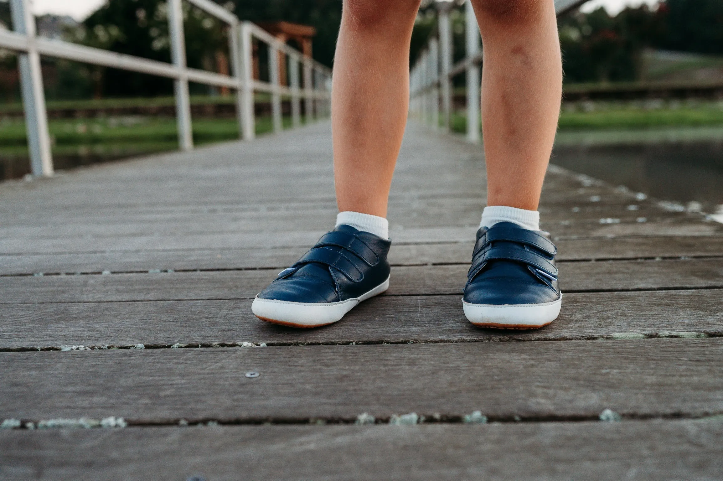 Little Love Bug Casual Navy Low Top