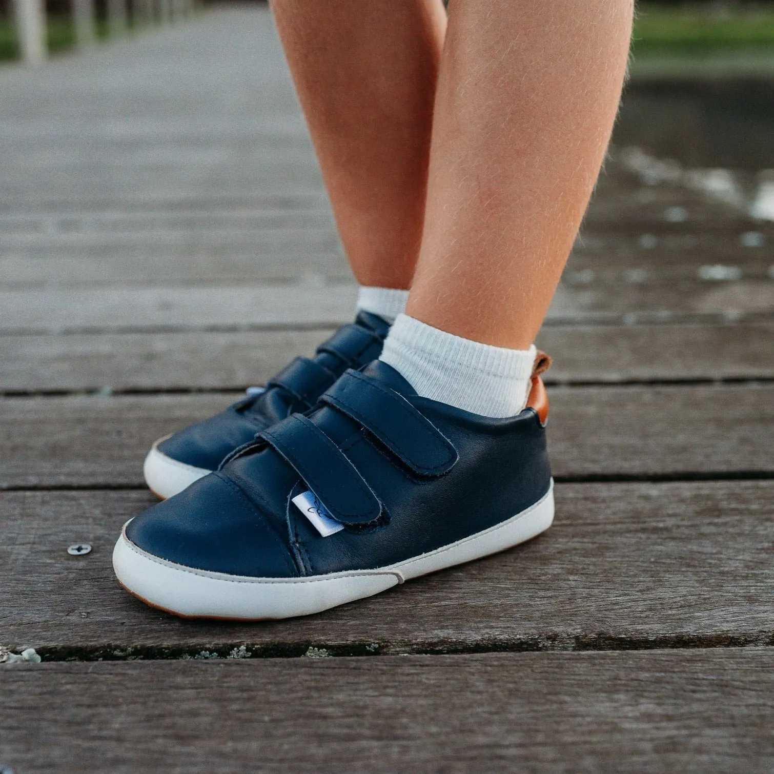 Little Love Bug Casual Navy Low Top