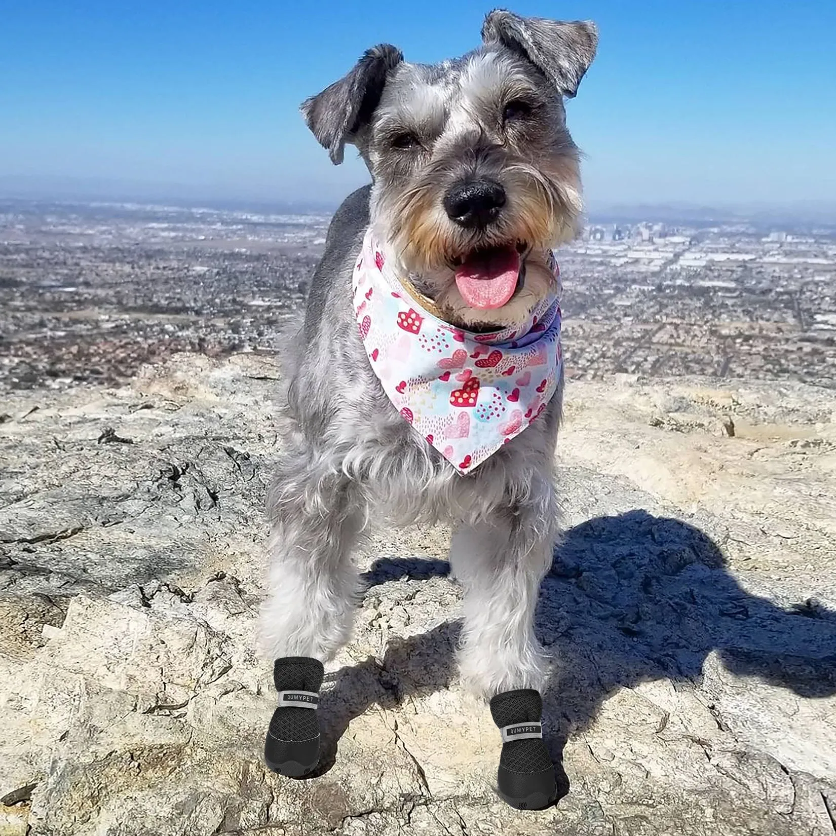 QUMYPET 4PCS Small Breed Dog Boots Hot Weather