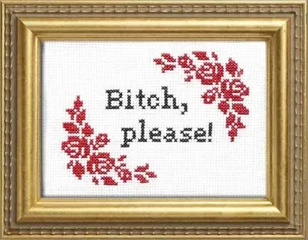 Subversive Cross Stitch Kits