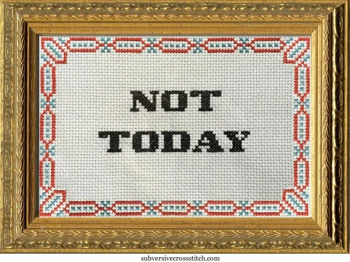 Subversive Cross Stitch Kits