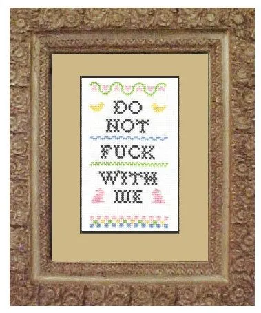 Subversive Cross Stitch Kits